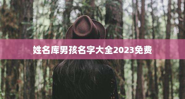 姓名库男孩名字大全2023免费