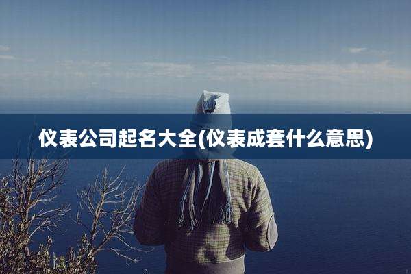仪表公司起名大全(仪表成套什么意思)
