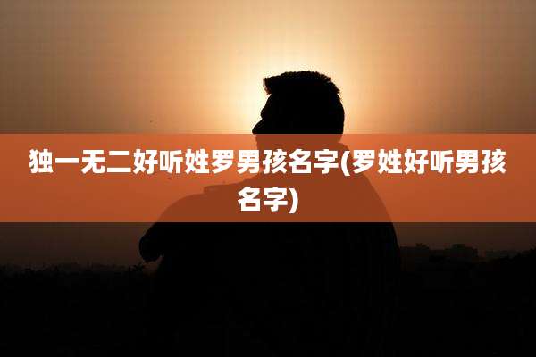 独一无二好听姓罗男孩名字(罗姓好听男孩名字)