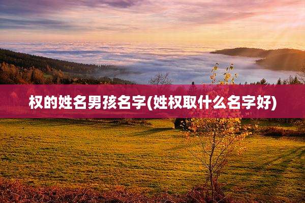 权的姓名男孩名字(姓权取什么名字好)