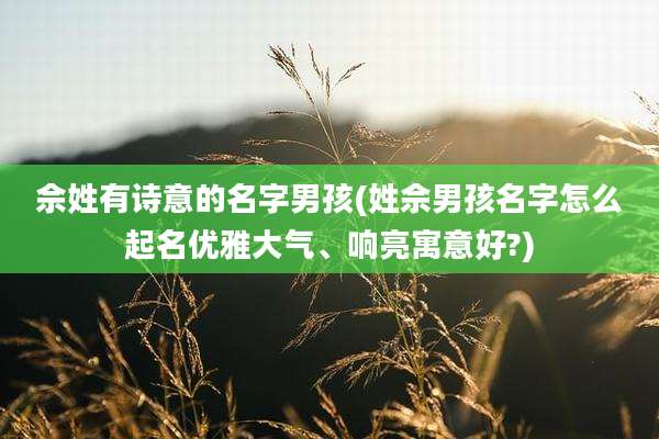 佘姓有诗意的名字男孩(姓佘男孩名字怎么起名优雅大气、响亮寓意好?)