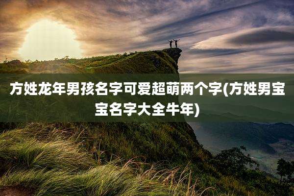 方姓龙年男孩名字可爱超萌两个字(方姓男宝宝名字大全牛年)