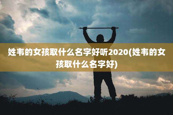 姓韦的女孩取什么名字好听2020(姓韦的女孩取什么名字好)