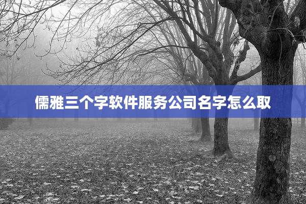 儒雅三个字软件服务公司名字怎么取