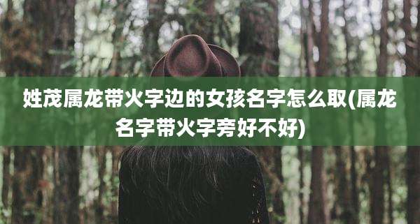 姓茂属龙带火字边的女孩名字怎么取(属龙名字带火字旁好不好)