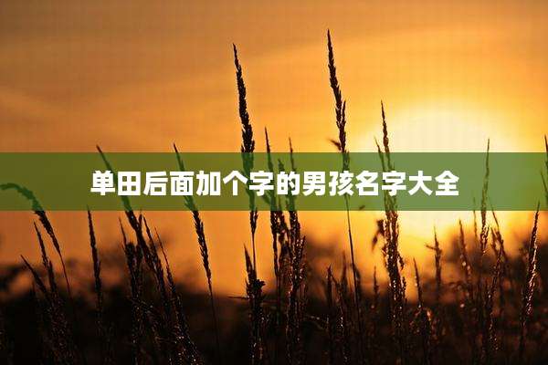 单田后面加个字的男孩名字大全