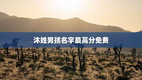 沐姓男孩名字最高分免费