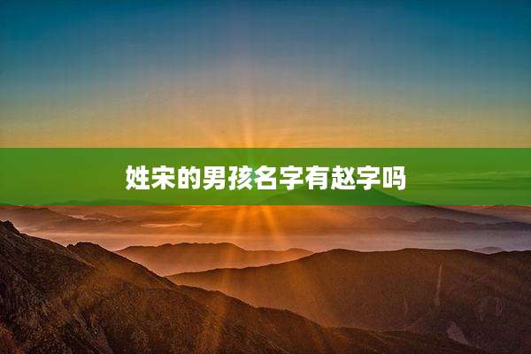 姓宋的男孩名字有赵字吗