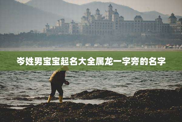 岑姓男宝宝起名大全属龙一字旁的名字