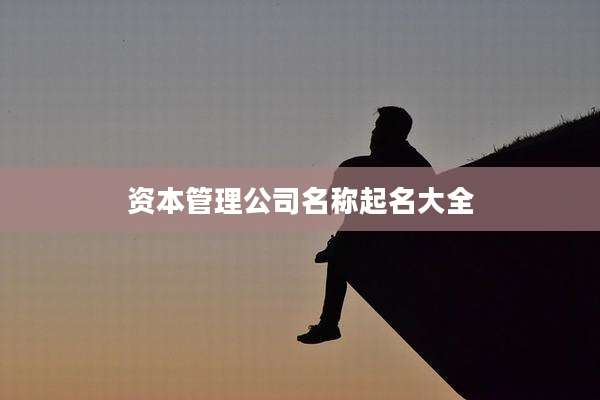 资本管理公司名称起名大全