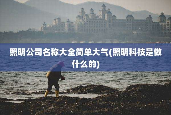 照明公司名称大全简单大气(照明科技是做什么的)