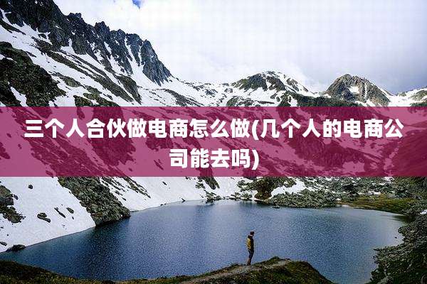 三个人合伙做电商怎么做(几个人的电商公司能去吗)