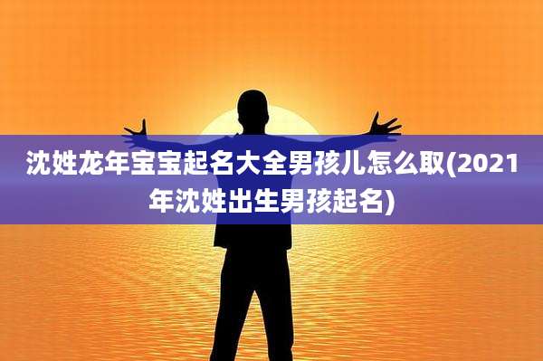 沈姓龙年宝宝起名大全男孩儿怎么取(2021年沈姓出生男孩起名)