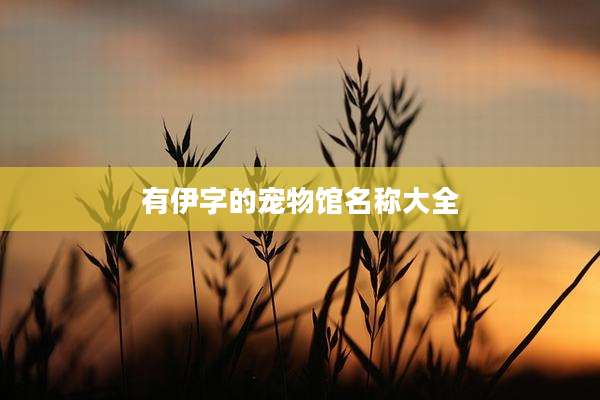 有伊字的宠物馆名称大全