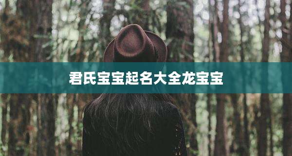 君氏宝宝起名大全龙宝宝
