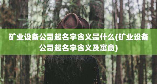 矿业设备公司起名字含义是什么(矿业设备公司起名字含义及寓意)