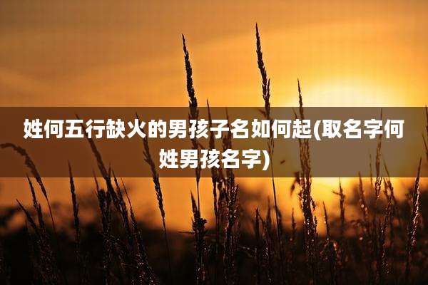 姓何五行缺火的男孩子名如何起(取名字何姓男孩名字)
