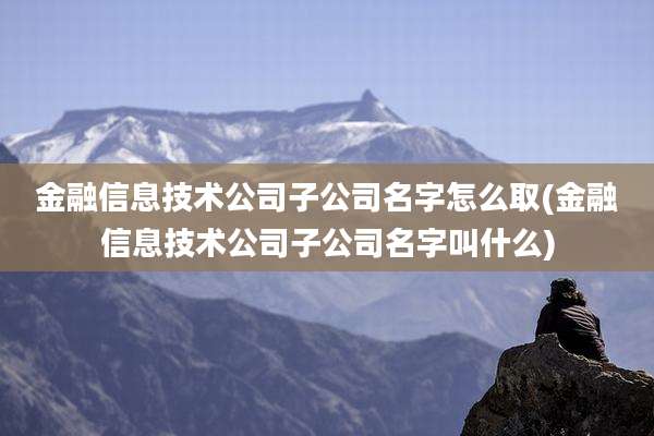 金融信息技术公司子公司名字怎么取(金融信息技术公司子公司名字叫什么)