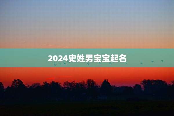 2024史姓男宝宝起名