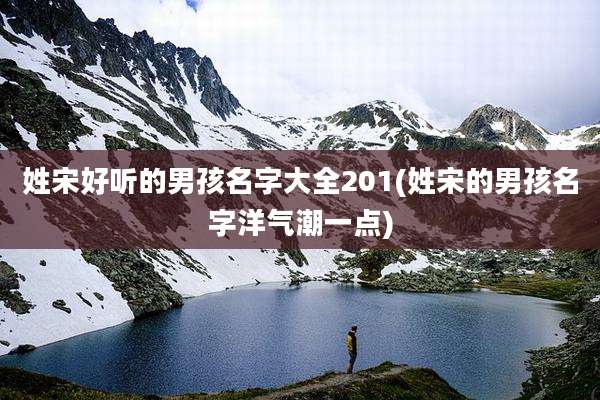 姓宋好听的男孩名字大全201(姓宋的男孩名字洋气潮一点)