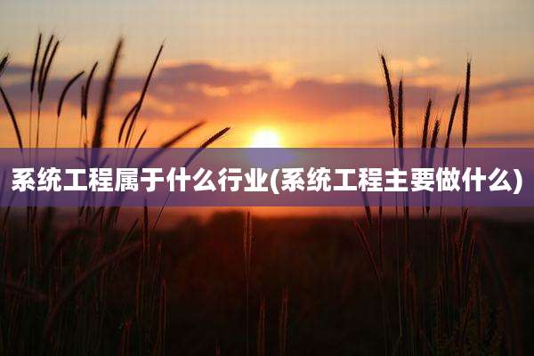 系统工程属于什么行业(系统工程主要做什么)