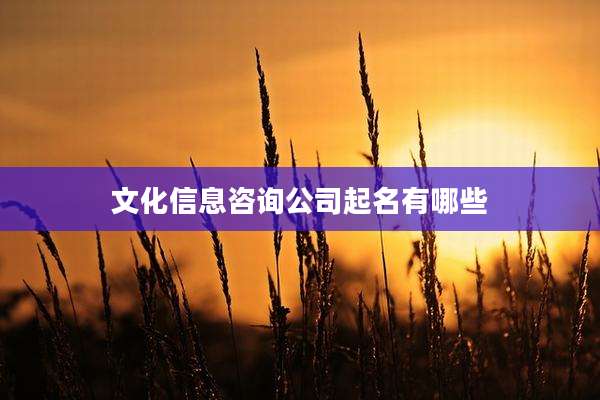 文化信息咨询公司起名有哪些
