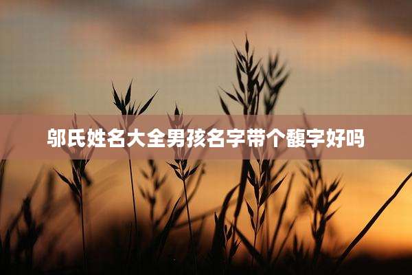 邬氏姓名大全男孩名字带个馥字好吗