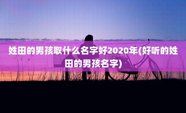 姓田的男孩取什么名字好2020年(好听的姓田的男孩名字)