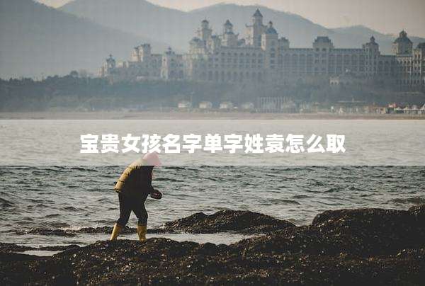 宝贵女孩名字单字姓袁怎么取