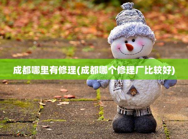 成都哪里有修理(成都哪个修理厂比较好)