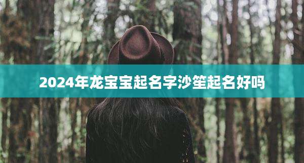 2024年龙宝宝起名字沙笙起名好吗