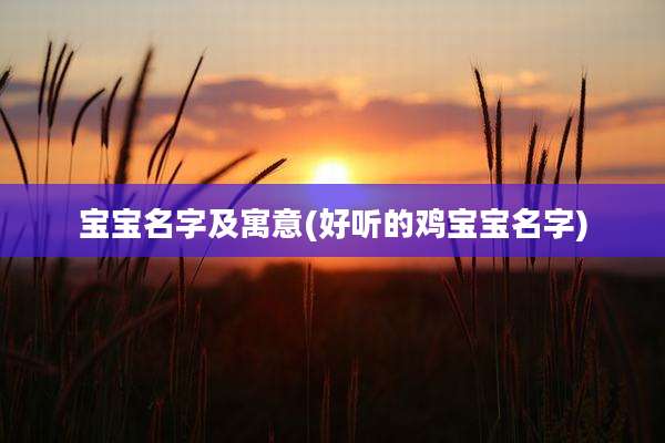 宝宝名字及寓意(好听的鸡宝宝名字)
