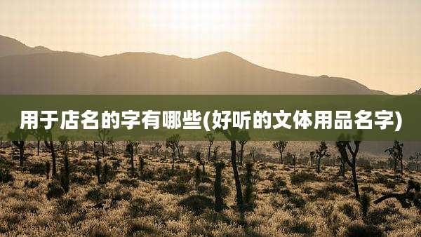 用于店名的字有哪些(好听的文体用品名字)
