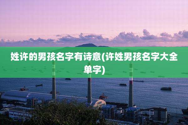 姓许的男孩名字有诗意(许姓男孩名字大全单字)