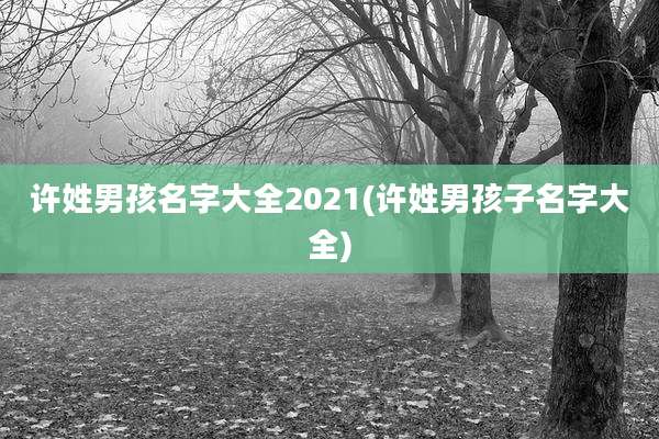 许姓男孩名字大全2021(许姓男孩子名字大全)