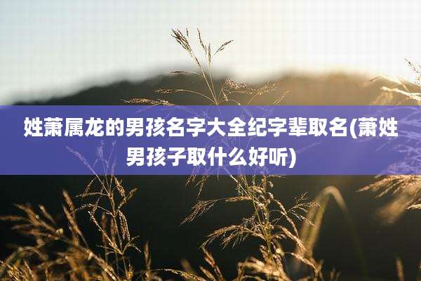 姓萧属龙的男孩名字大全纪字辈取名(萧姓男孩子取什么好听)