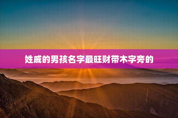 姓戚的男孩名字最旺财带木字旁的