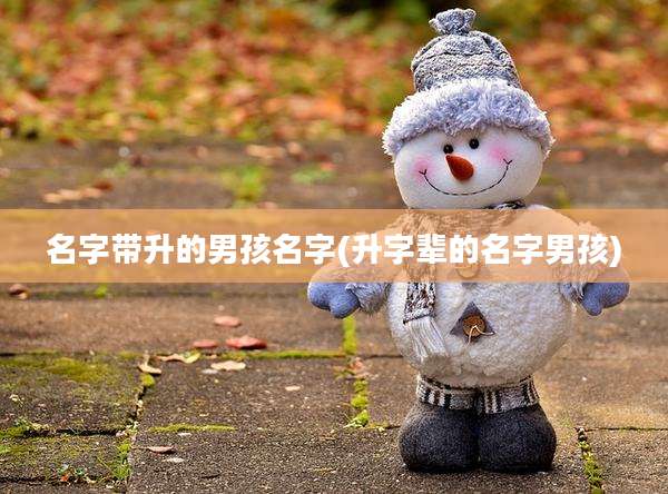 名字带升的男孩名字(升字辈的名字男孩)