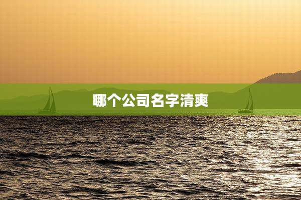哪个公司名字清爽