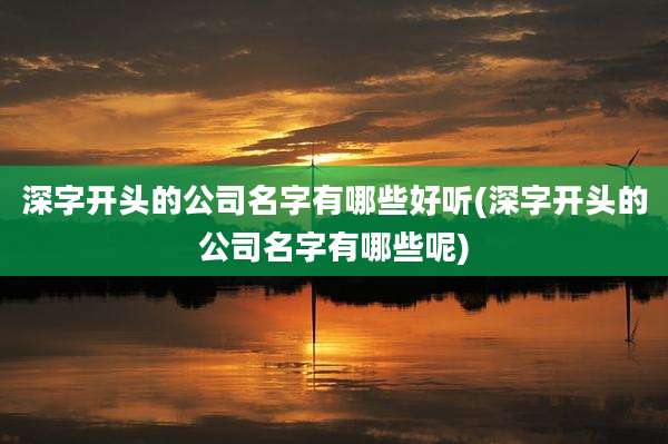 深字开头的公司名字有哪些好听(深字开头的公司名字有哪些呢)