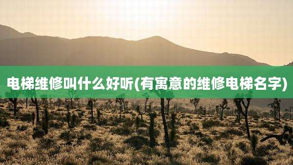电梯维修叫什么好听(有寓意的维修电梯名字)