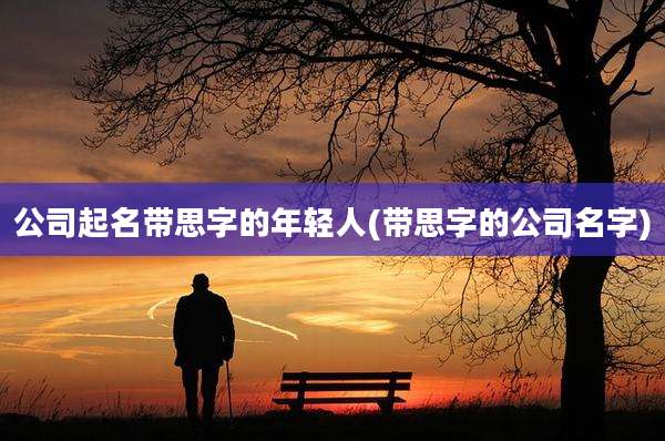 公司起名带思字的年轻人(带思字的公司名字)
