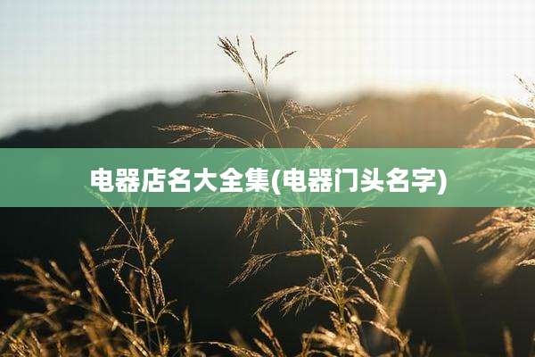 电器店名大全集(电器门头名字)