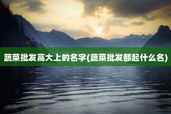 蔬菜批发高大上的名字(蔬菜批发部起什么名)
