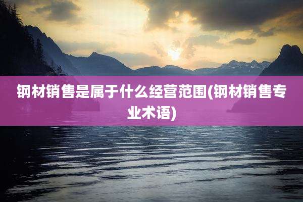 钢材销售是属于什么经营范围(钢材销售专业术语)