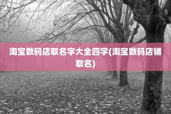 淘宝数码店取名字大全四字(淘宝数码店铺取名)