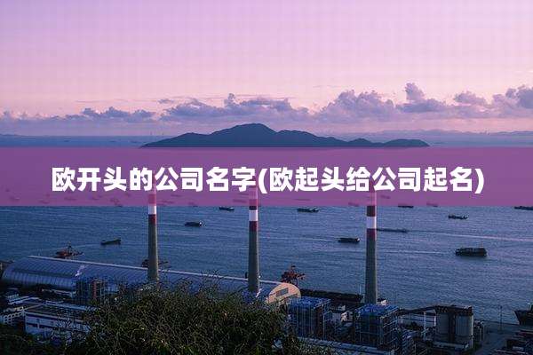 欧开头的公司名字(欧起头给公司起名)
