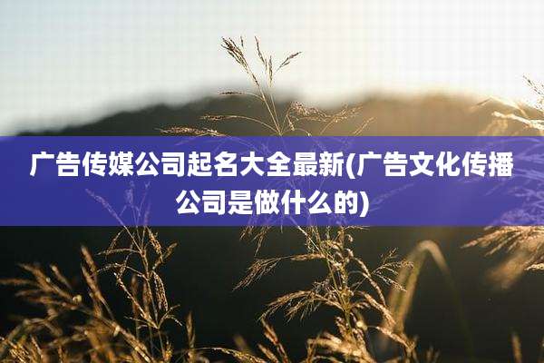 广告传媒公司起名大全最新(广告文化传播公司是做什么的)