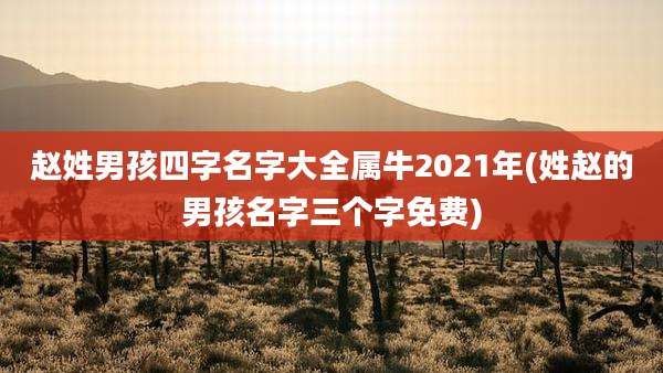 赵姓男孩四字名字大全属牛2021年(姓赵的男孩名字三个字免费)
