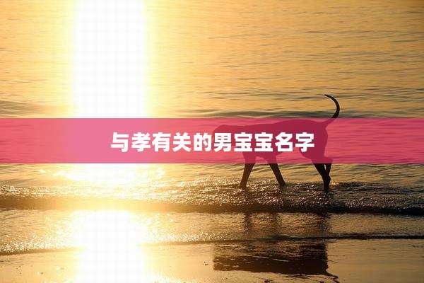 与孝有关的男宝宝名字